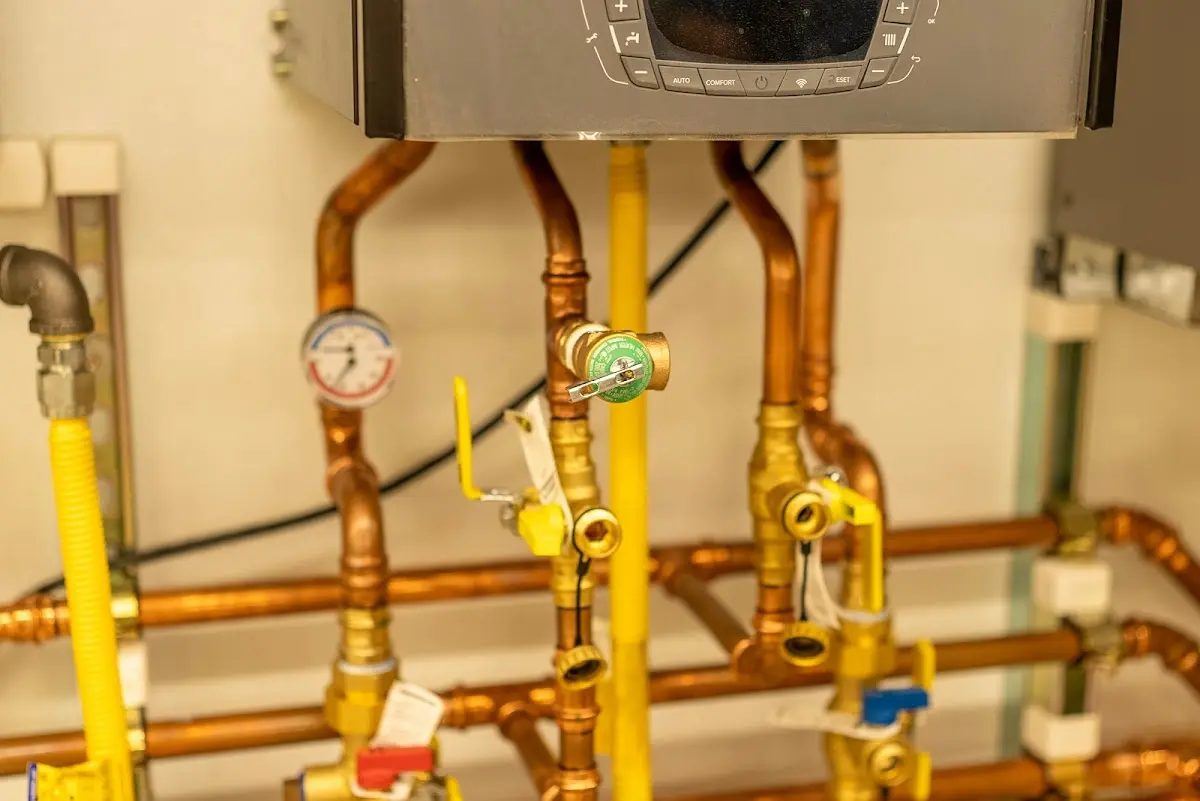 Licensed technician providing Sump Pump Repair for a homeowner in Mount Morris